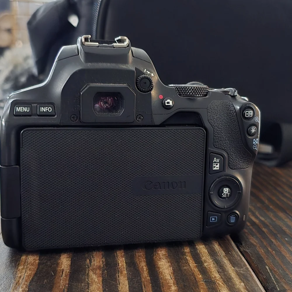 Canon EOS Rebel SL3 DSLR Camera - Black